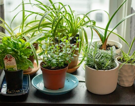 18 DIY Herb Garden Ideas