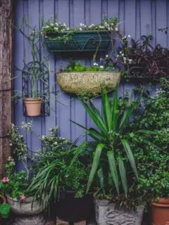 DIY Vertical Garden Ideas