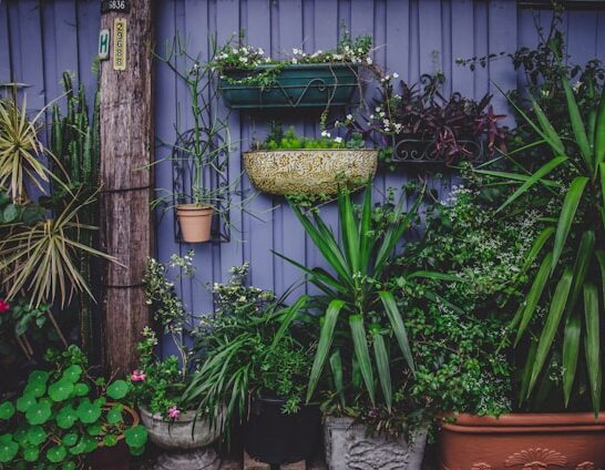 30 DIY Vertical Garden Ideas